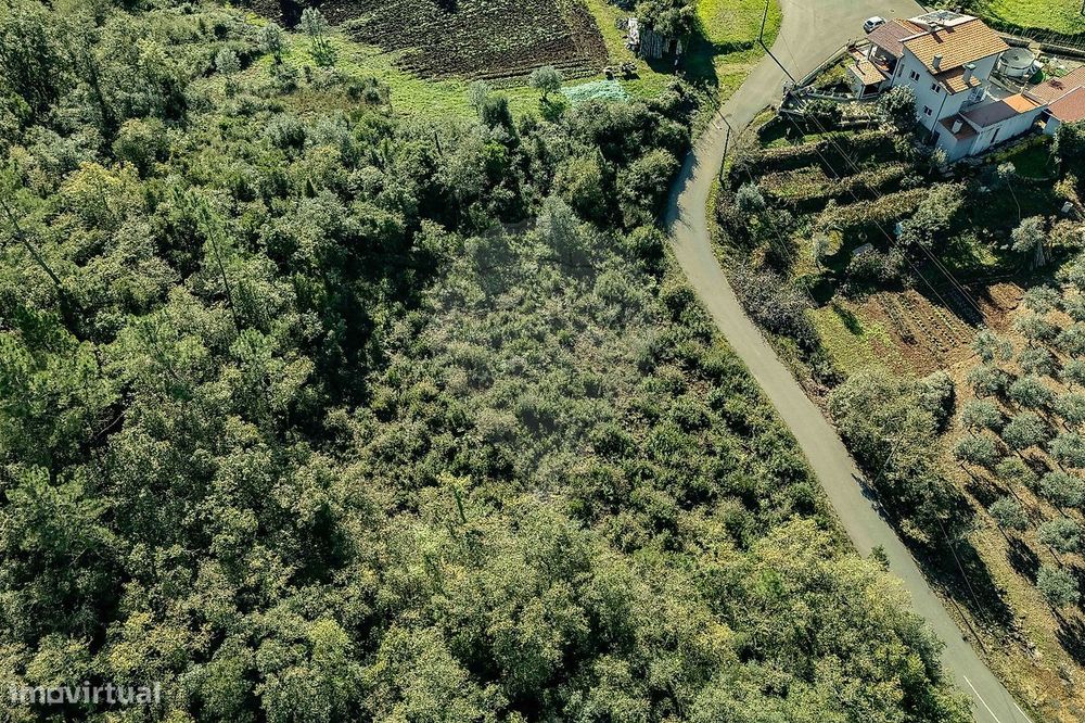 Terreno  para venda