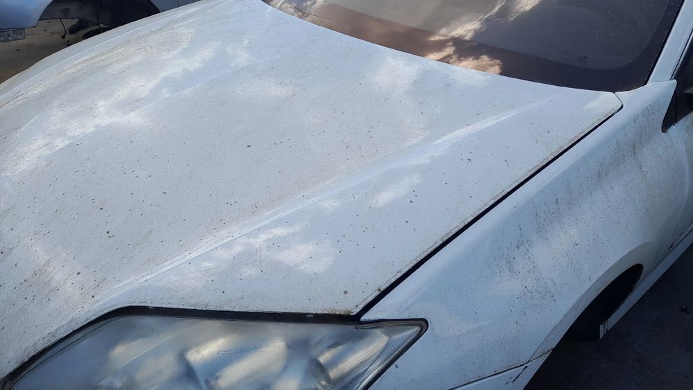 Capot RENAULT Laguna III (BT0/1)