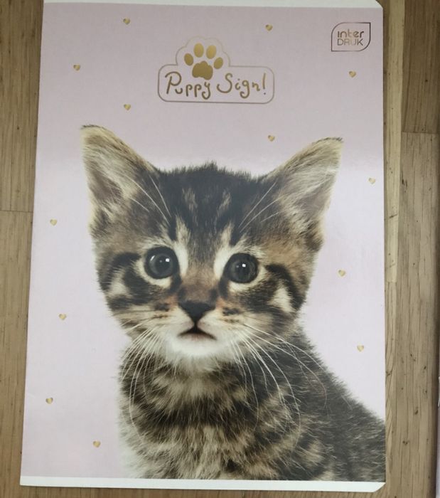 Zeszyt w kratkę A5 48tknsz