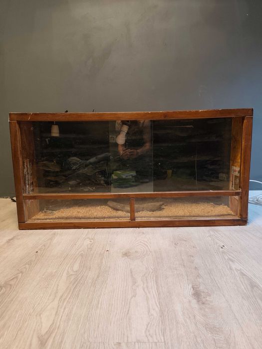 Terrarium z ścianką