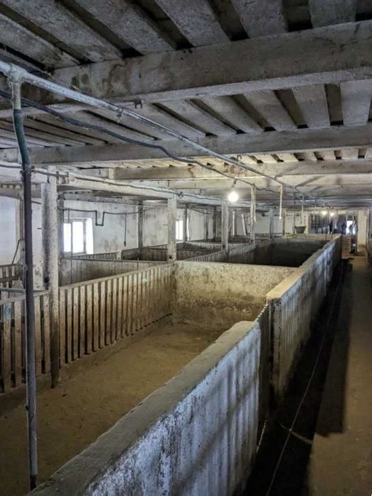 Свиноферма 2200 м2