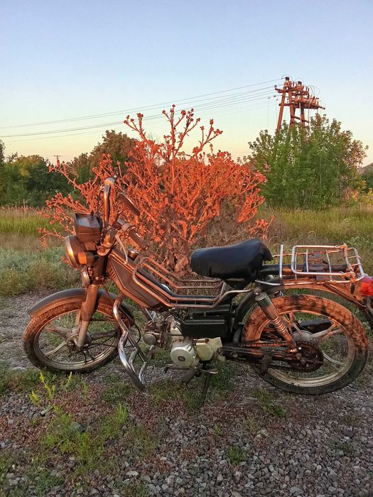 продам мопед дельта