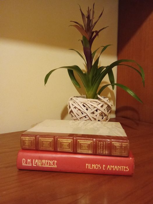 Títulos variados