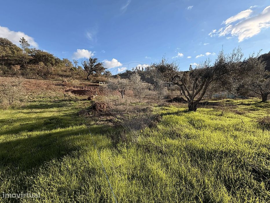 Terreno  para venda — São Bartolomeu de Messines, Faro