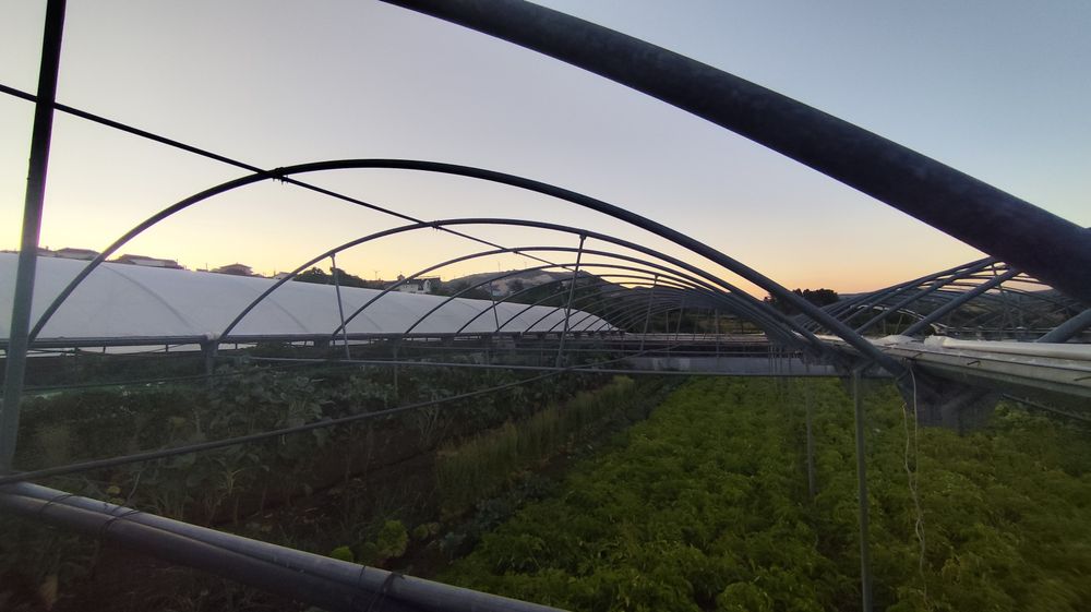 Estufas Estrutura metalica