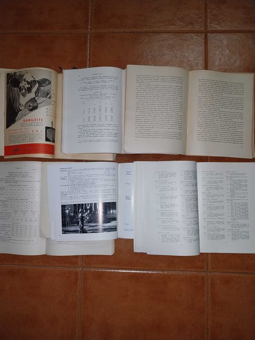 Lote Livros Antigos - Agronomia Agricultura