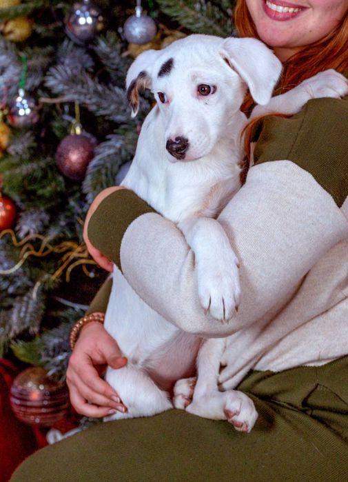 Дівчинка знайдена в полі