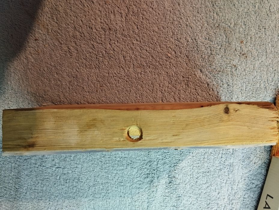 Drewniane formikarium dla mrówek 22x12[cm]