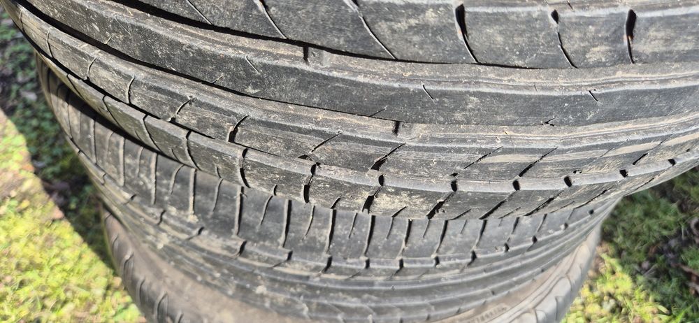 Opony letnie Dębica