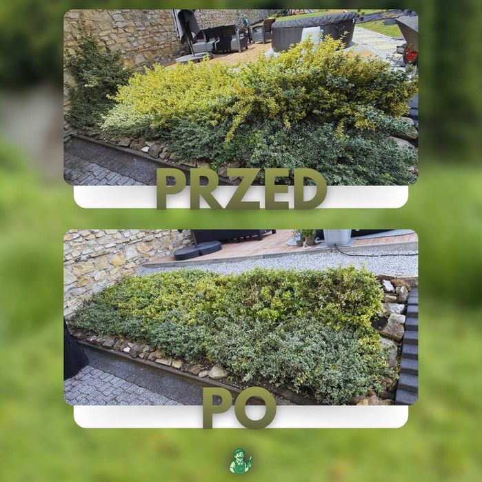 Usługi Ogrodnicze koszenie / trawniki / pielęgnacja - CAŁE ŚLĄSKIE!
