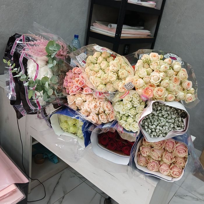 Великий вибір горшкових квітів с.Вільхівка центральна 48