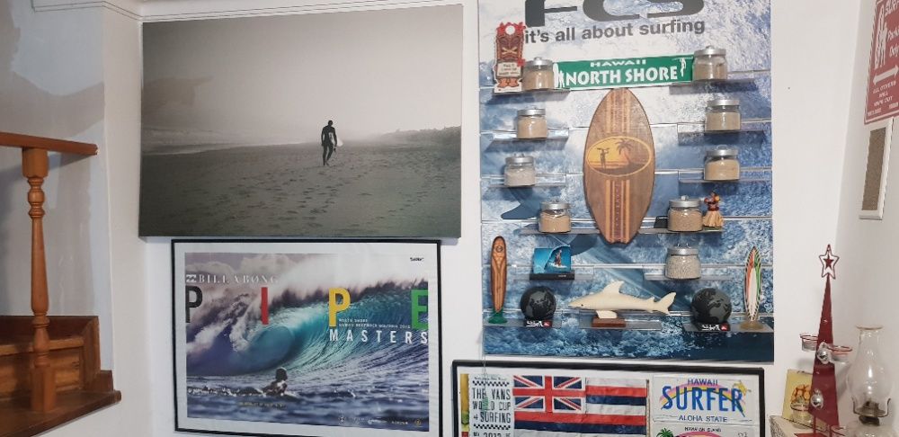 Quadro SURF Andy Irons