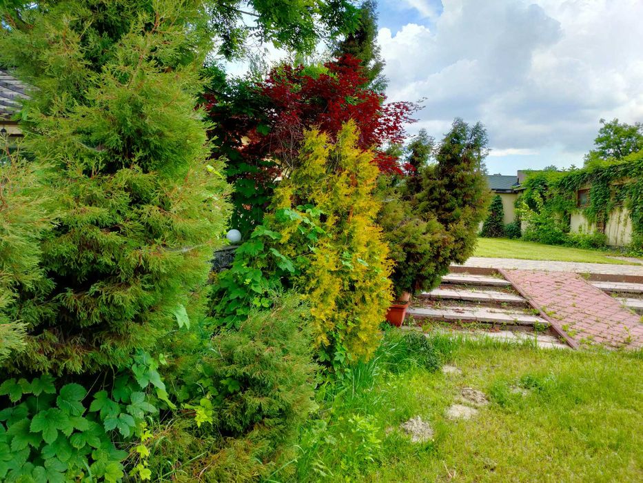 Елітна ділянка 200 соток,Осокорки до 1 шлюзу,Дніпро,Славутич 8 км,без%