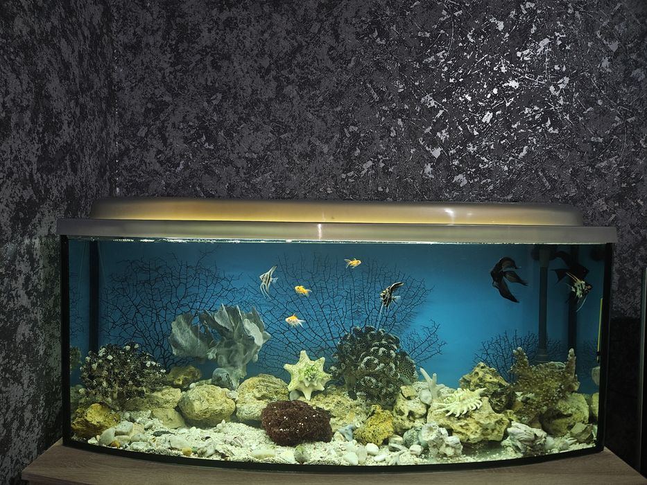 Акваріум 200 літрів