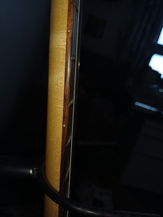 Gitara elektryczna Aria STG-series