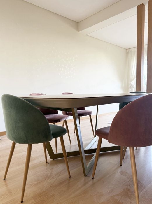 Conjunto de 6 cadeiras de jantar em veludo – rosa e verde