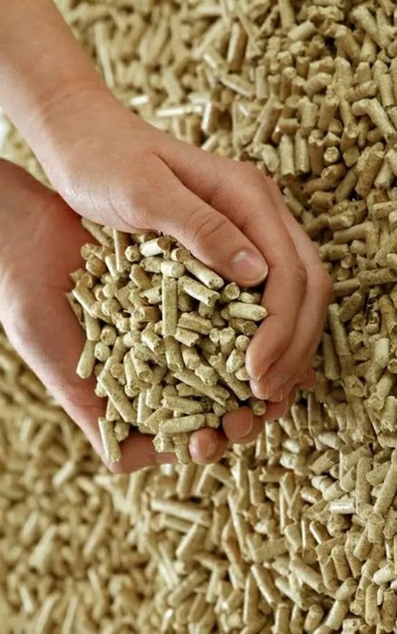 Древесные топливные гранулы ( из Дуба, березы, сосна, ясень) Светлая