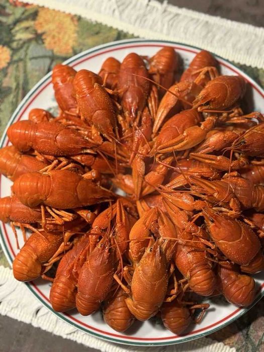 Есть в наличии живой свежий рак креветка рыбка есть варка доставка