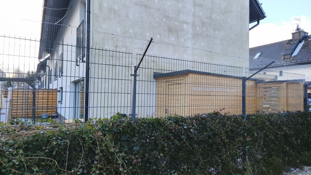 Siatka ochronna dla kotów.