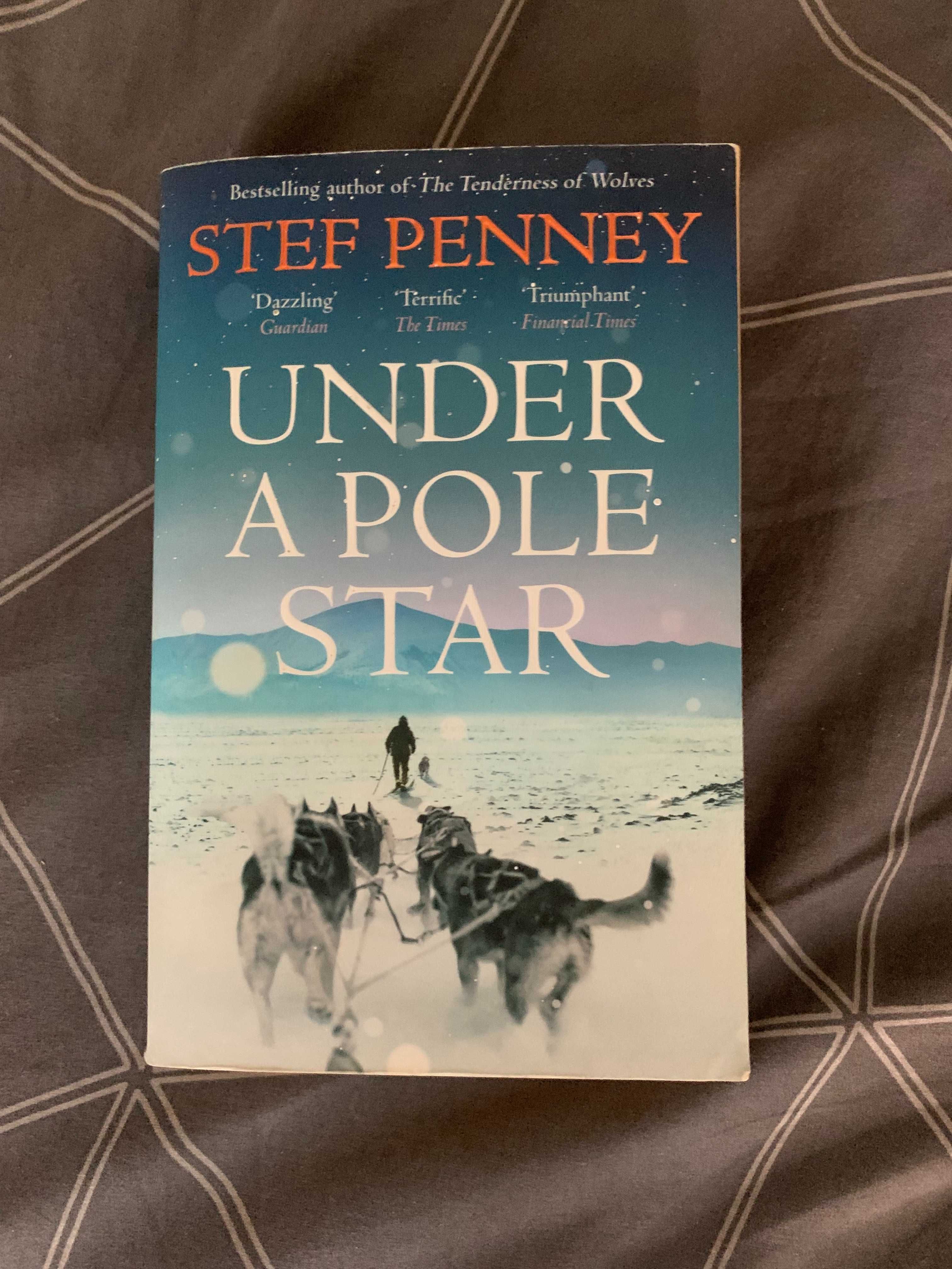 Stef Penney - Under a Pole Star (Livro em Inglês) Portimão • OLX Portugal