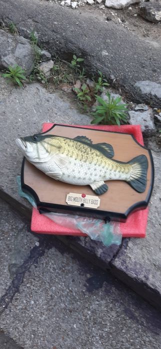 Рыба  на стену ,