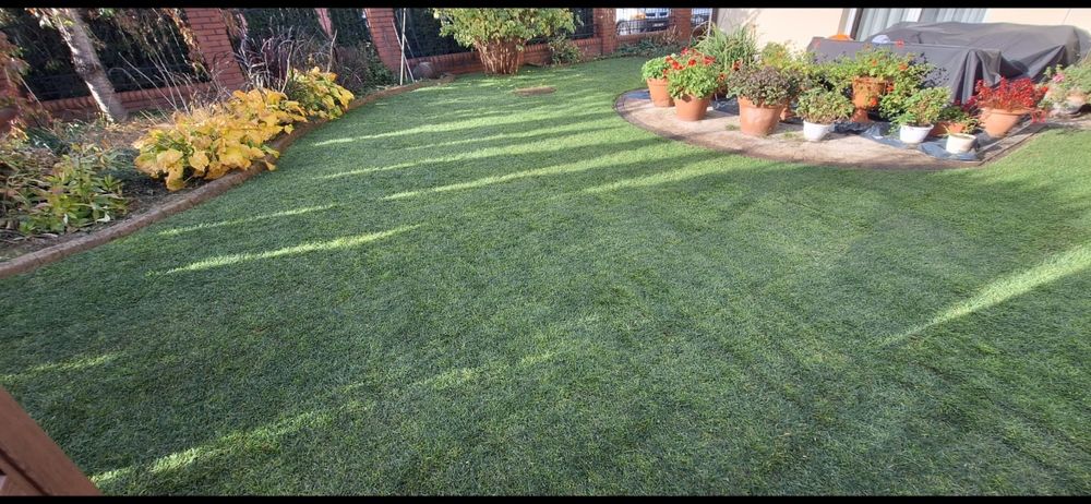 Rownanie terenu ,zakladanie trawnika ,siatki na krety