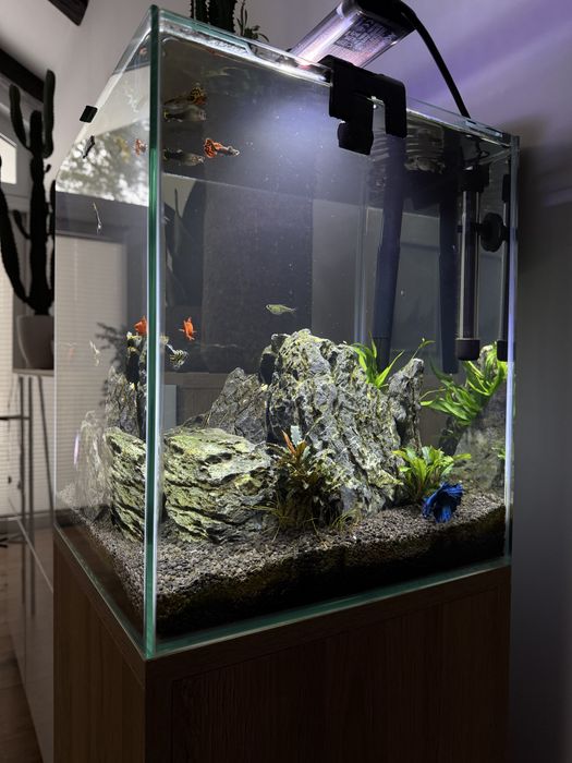 Akwarium Aquael – kostka 50 l + słupek | kompletne, gotowe do startu