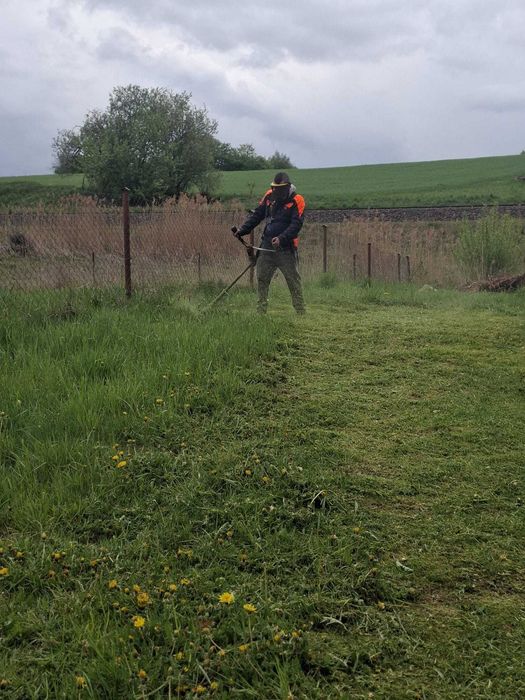 Wykaszanie traw nieużytkow oraz chaszczy