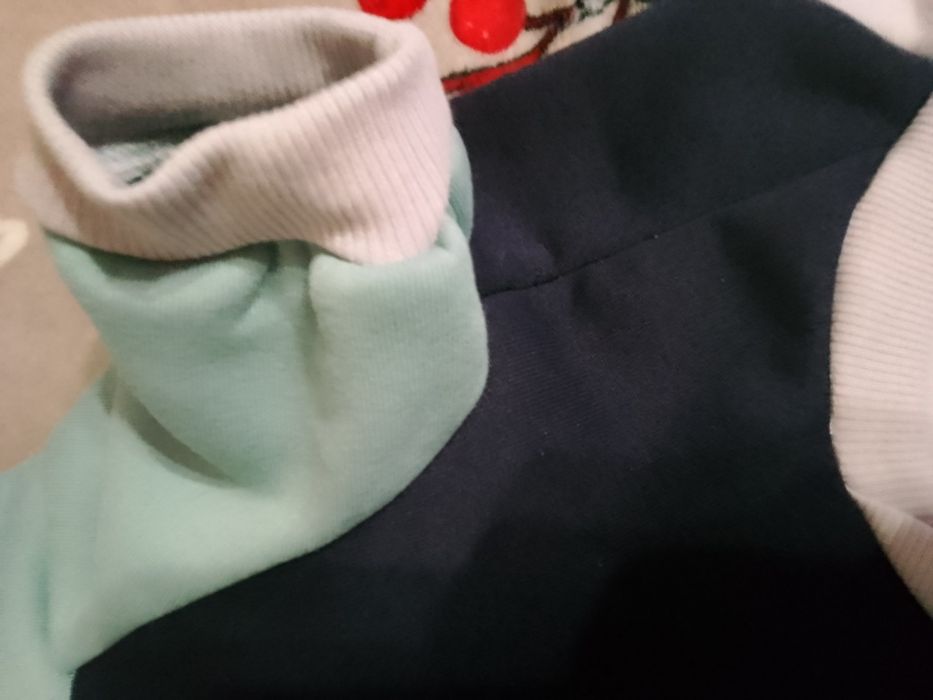 Nowe ubranko ubranie  dla psa bluza długość grzbietu  35 cm