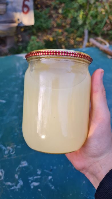 Борсуковий жир. Жир. Борсуковий