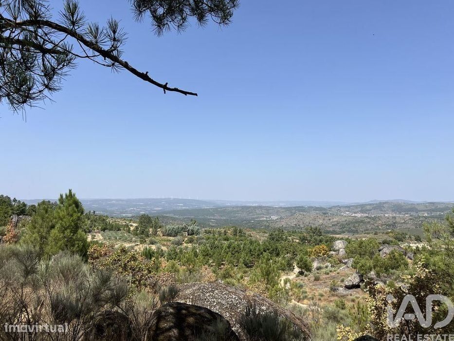 Terreno em Sernancelhe e Sarzeda de 44527,00 m2