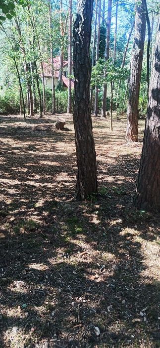 Podnosnik koszowy, czyszczenie działek ,prace ogrodowe.