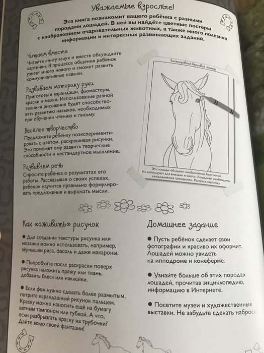 Книга Лошади Коні колекція малюнків і фотографій