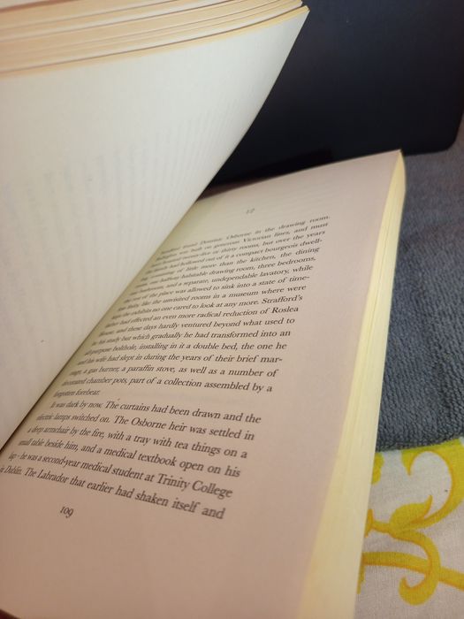 Livro de JOHN BANVILLE