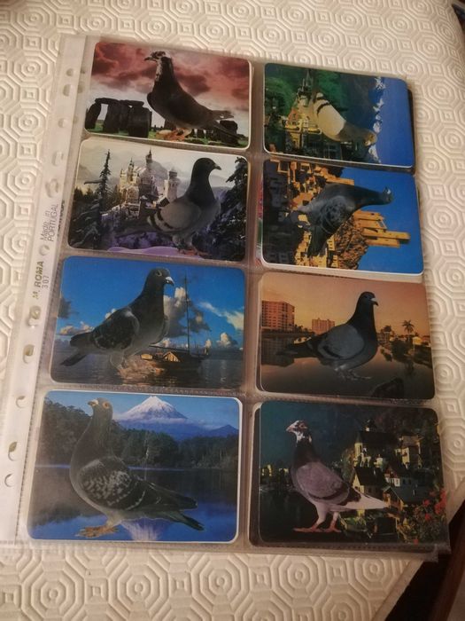 Coleção de calendários de animais