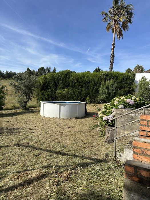 Limpeza de Terrenos e Quintas | O Moço do Laré