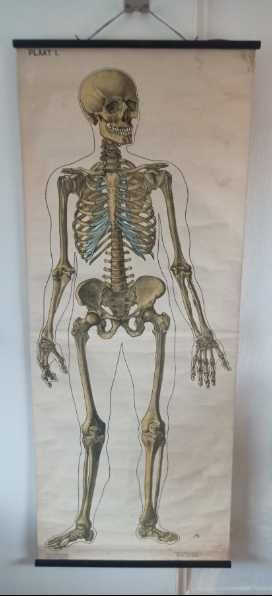 Materiais didáticos, mapas, gravuras, antigos e vintage