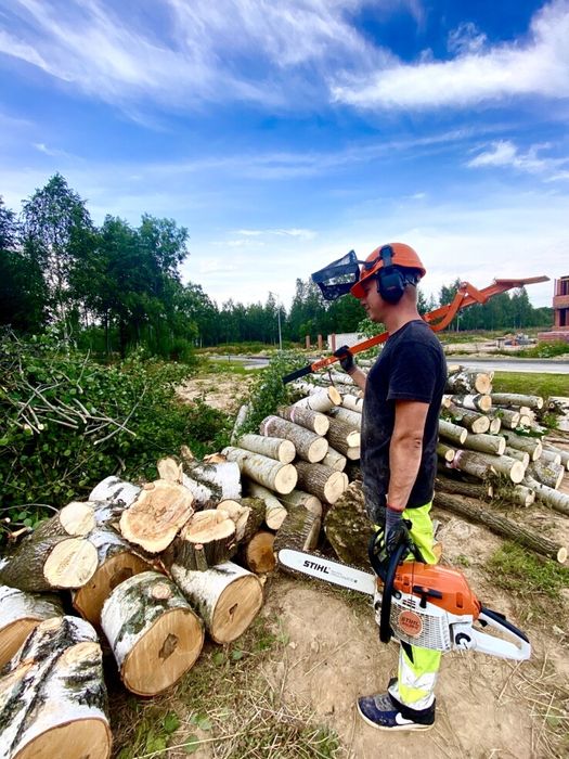 Комплексний догляд за ділянкою, садом, газоном та рослинами