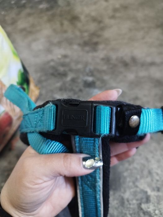 Conjunto coleira e peitoral Hunter
