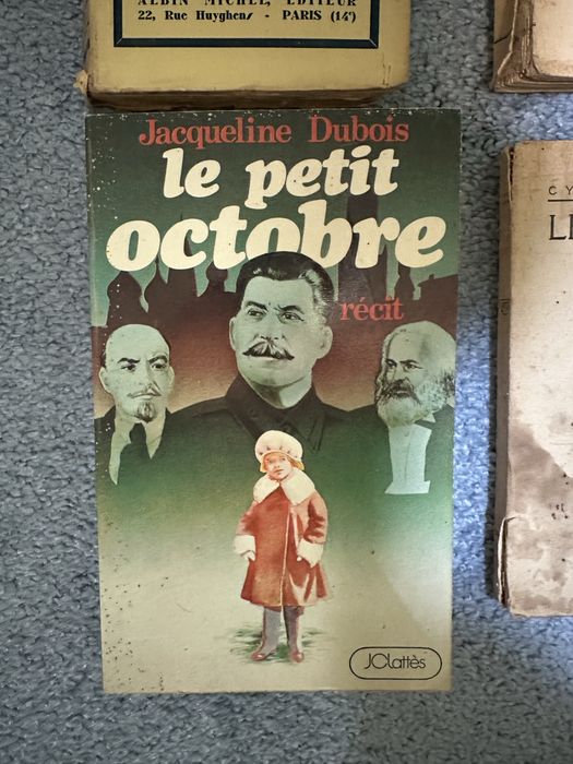 Lote de 14 livros Franceses