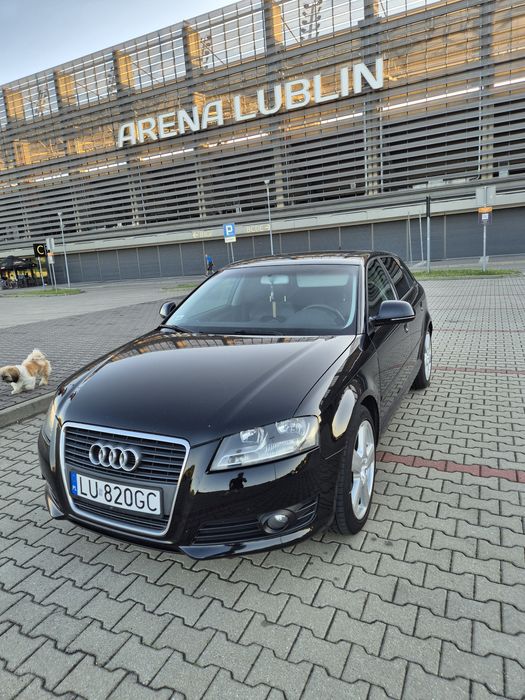 Audi a3 8p 2.0 TDI CR 2008r