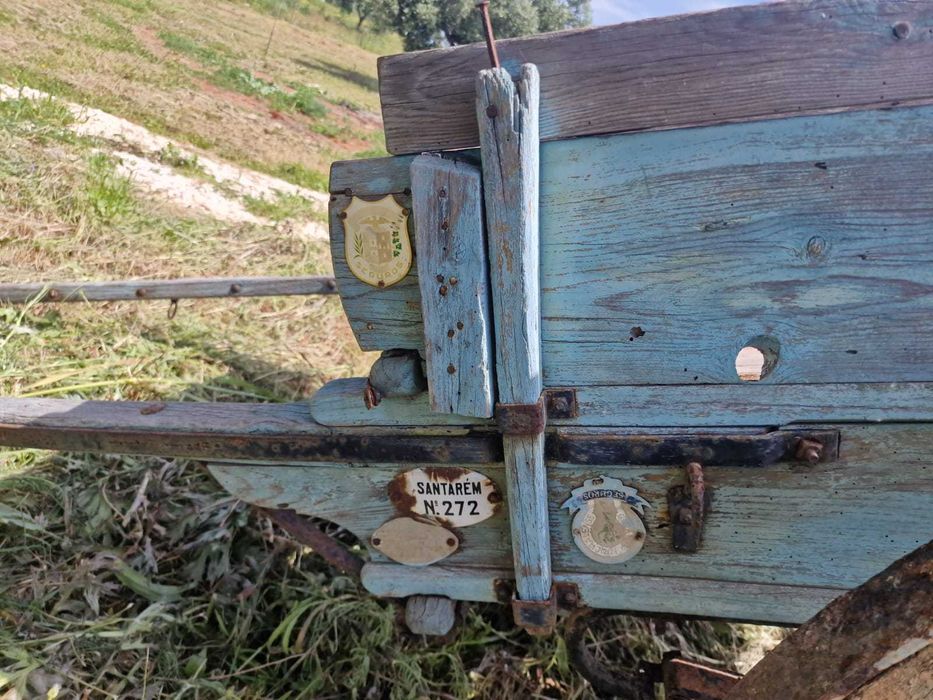 Carroça para cavalos, charrete