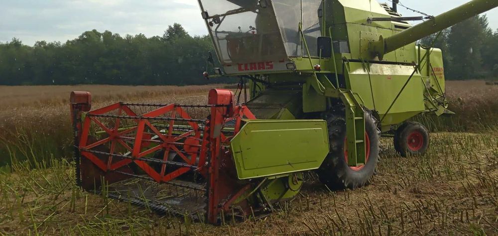 Stół do rzepaku Claas Mercator 3m