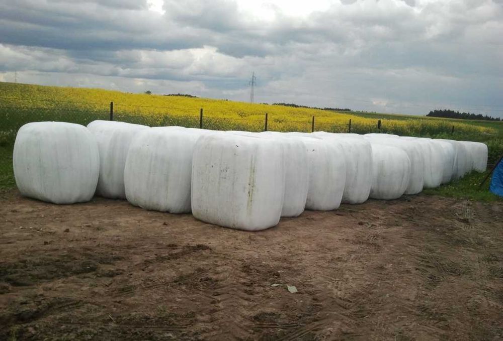 Sprzedam sianokiszonke lub zamienię.