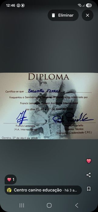 treino de cães porto64960240912641122