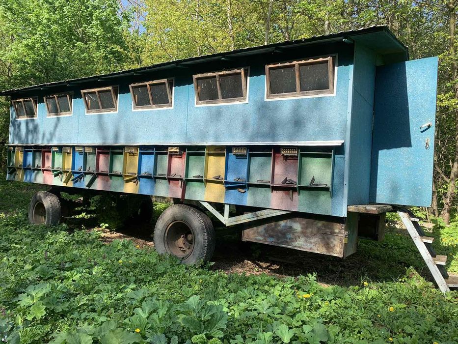 Продам бджолопавільйон (Апідомік)
