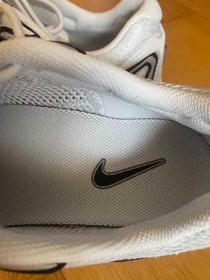 Sapatilhas Nike Air Pegasus