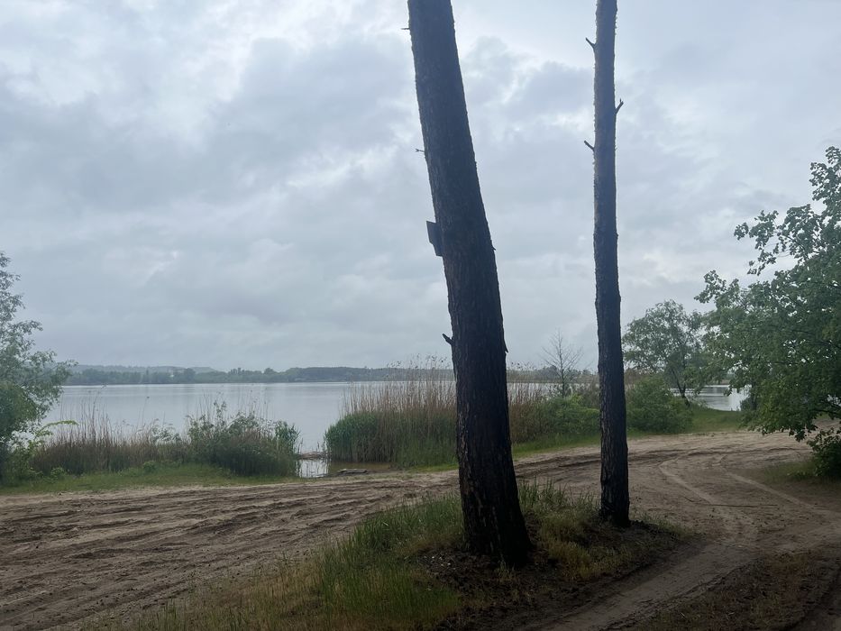 Продажа участка 108соток Вода Лес Таценки/земельна ділянка Ліс Вода