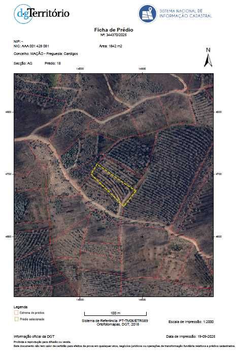 Terrenos em Mação/Cardigos  ( 3 propriedades) 1€ M2 c/Eucalipto 7 anos