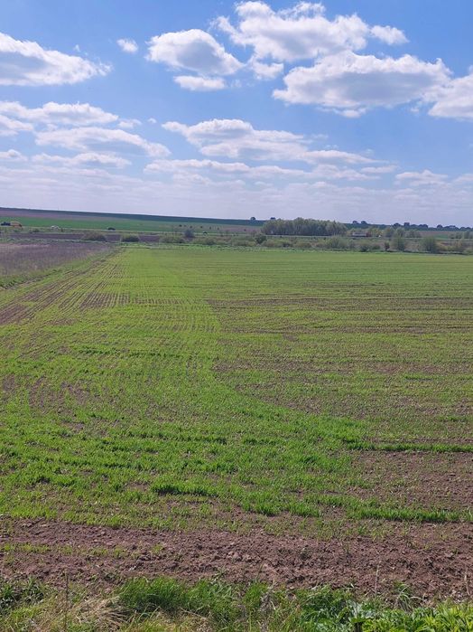 Продам пай с. Колоденка біля дороги Київ-Чоп